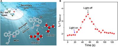 pH-Dependent Water Clusters in Photoacid Solution: Real-Time Observation by ToF-SIMS at a Submicropore Confined Liquid-Vacuum Interface